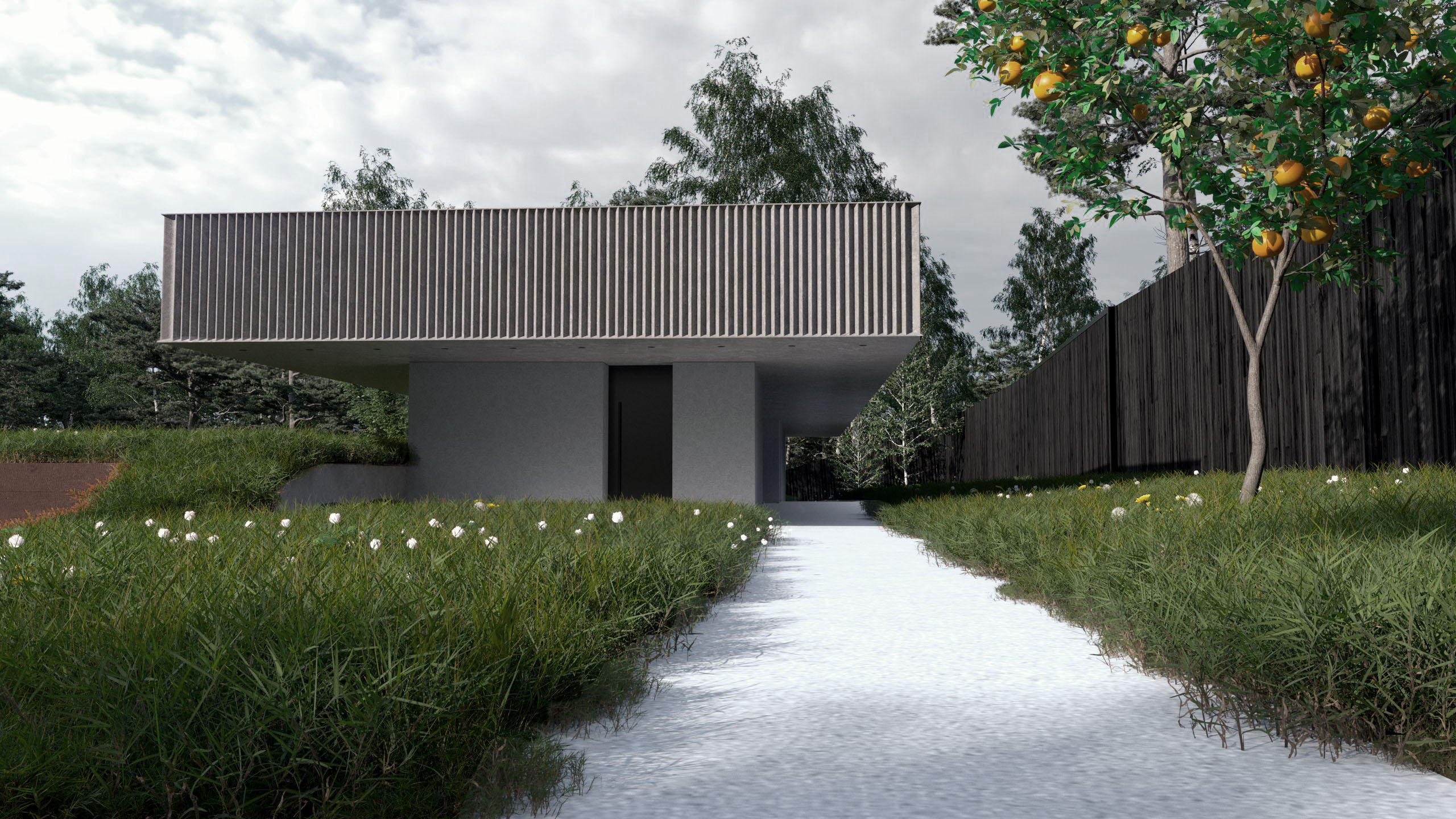 project-image