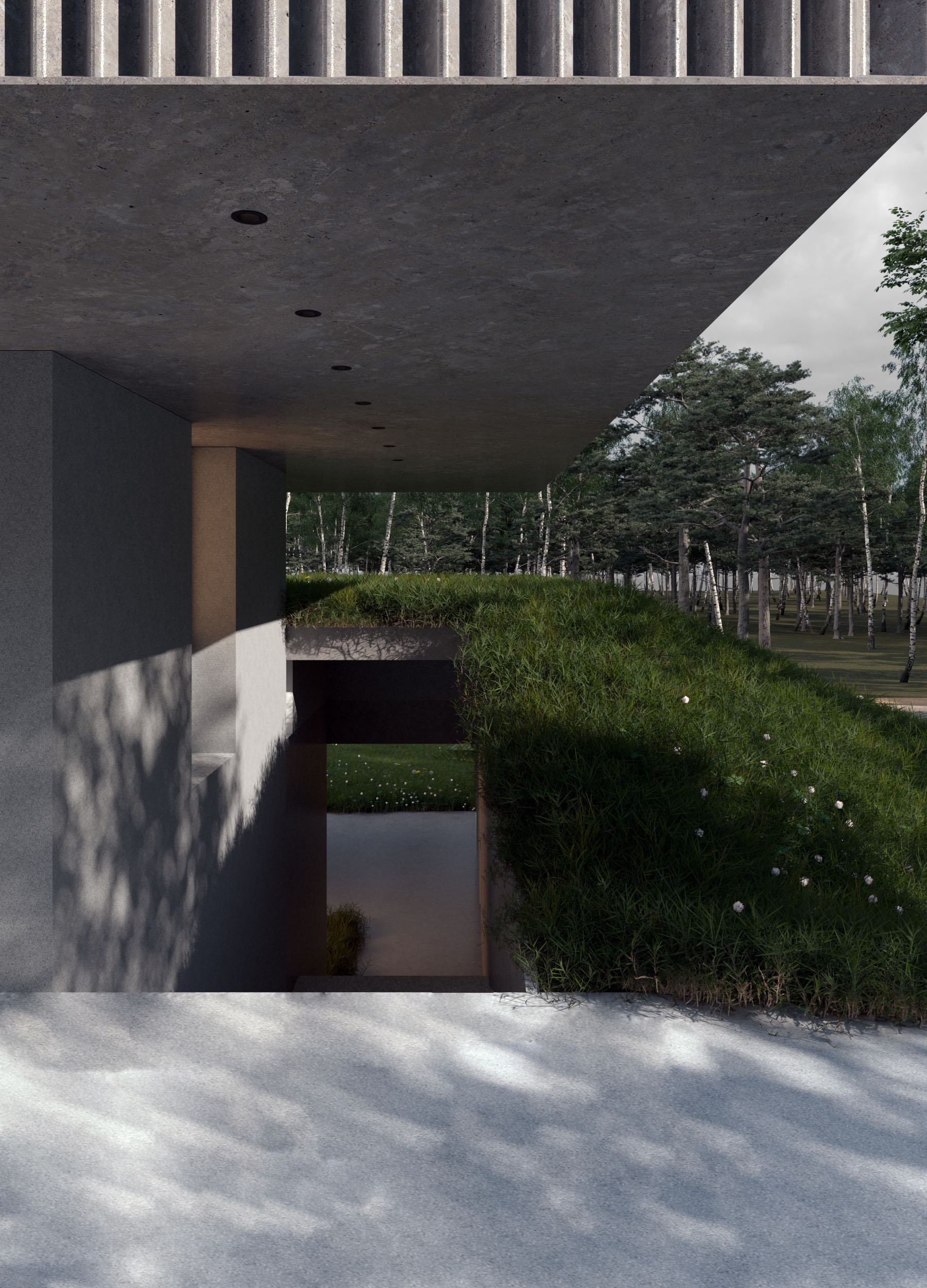 project-image